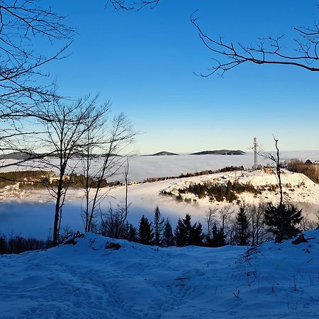 Great Apartment Winterberg Woods Medebach Esterno foto