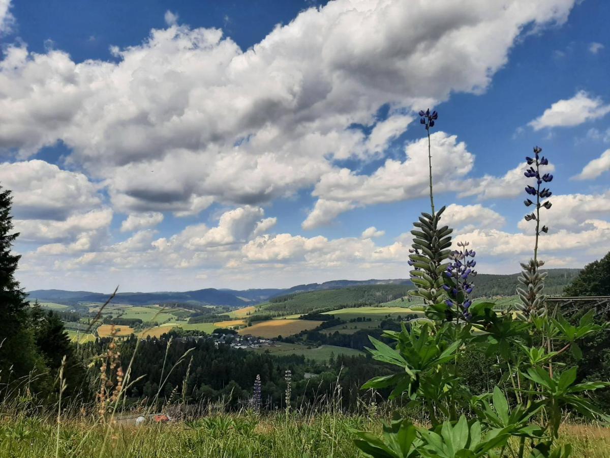 Great Apartment Winterberg Woods Medebach Esterno foto