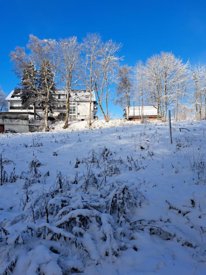 Great Apartment Winterberg Woods Medebach Esterno foto