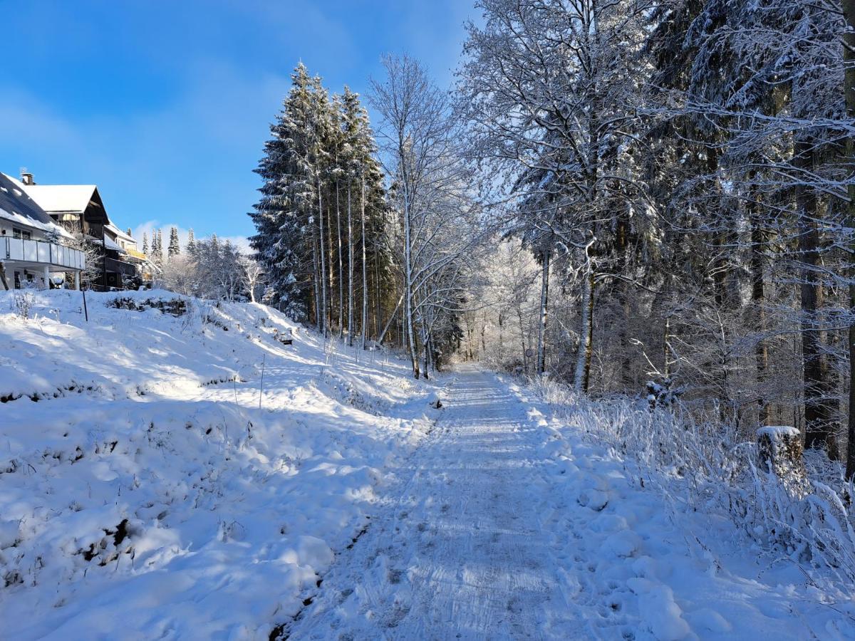 Great Apartment Winterberg Woods Medebach Esterno foto
